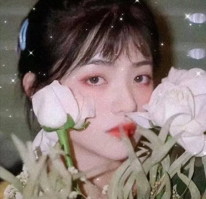 长相思第二季